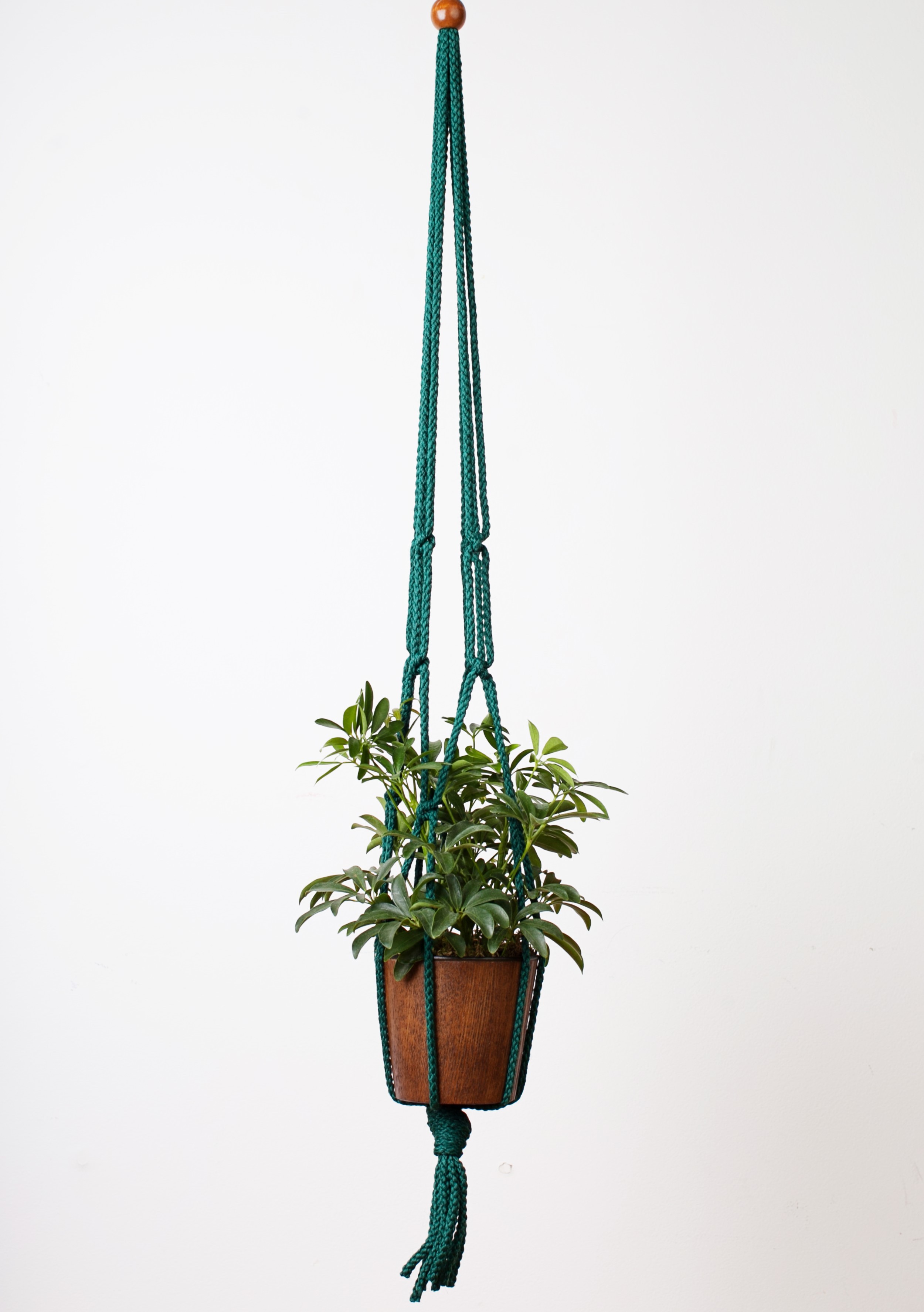 36" Macrame Plant Hangers